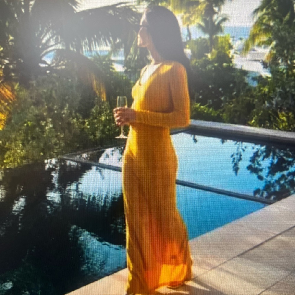 NWT WNTRMSE Bella Maxi Dress